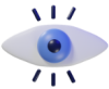 icon vision icon vision